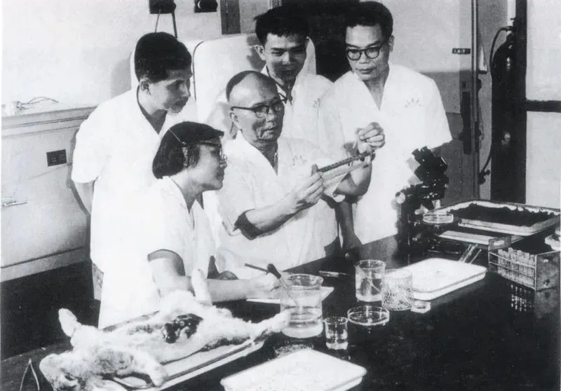 图:陈心陶教授在指导青年教师用家兔免疫血清诊断血吸虫病