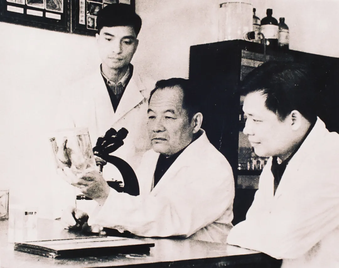 图:秦光煜教授与学生一起观看麻风病肉眼标本