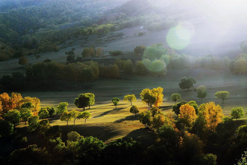 我院分工会举行摄影沙龙