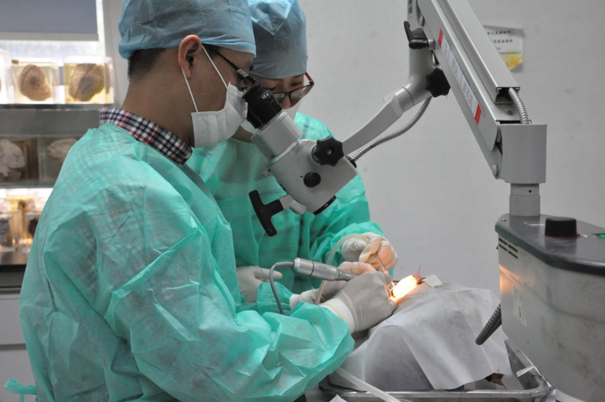 基础与临床的紧密结合，模拟向实操的高效衔接——william威廉中文临床解剖学外科微创技术训练平台开展