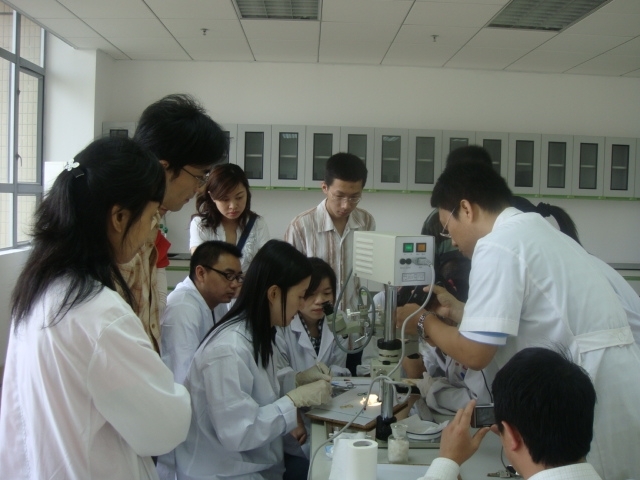  黃慧敏实验技术员现场演示“神经损伤小鼠模型制作”           